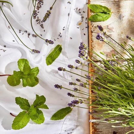 lavender & peppermint scent.