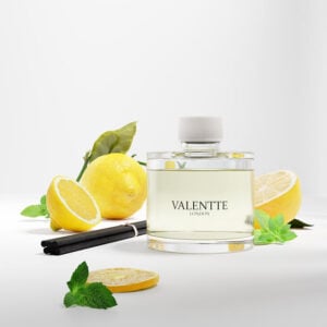 100ml Diffuser Refill - Wild Mint & Sicilian Lemon