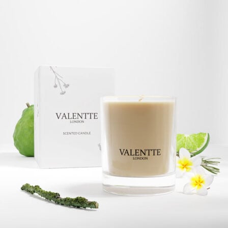 Cypress & Labdanum candle scent image with box
