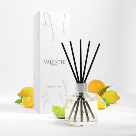 Citrus Grove reed diffuser scent image with box