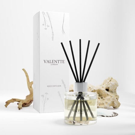 Sea Salt reed diffuser scent image with box