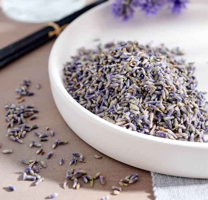 Component 26 – 2@2x (1)