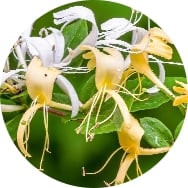 AdobeStock_112618736