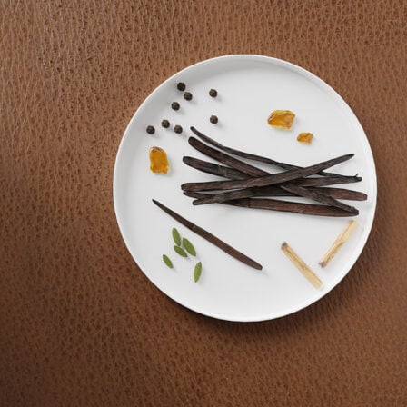 vanilla & leather scent image