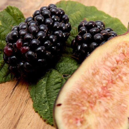 Scent Image of Berry & Fig